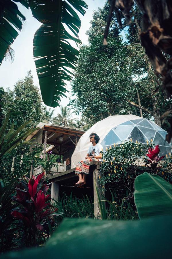 Bali Jungle Camping By Amerta Experience ตาบานัน ภายนอก รูปภาพ