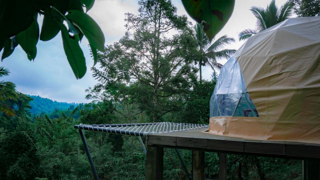 Bali Jungle Camping By Amerta Experience ตาบานัน ภายนอก รูปภาพ