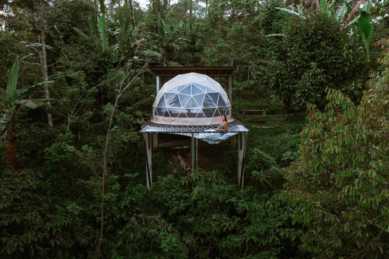 Bali Jungle Camping By Amerta Experience ตาบานัน ภายนอก รูปภาพ