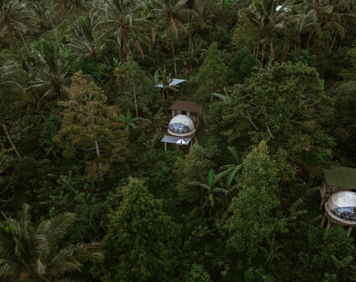Bali Jungle Camping By Amerta Experience ตาบานัน ภายนอก รูปภาพ