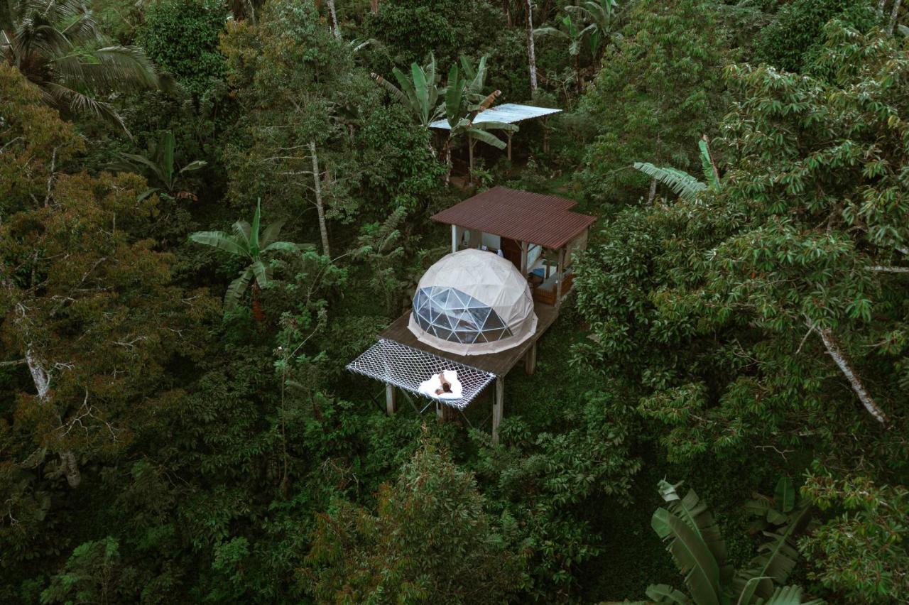 Bali Jungle Camping By Amerta Experience ตาบานัน ภายนอก รูปภาพ