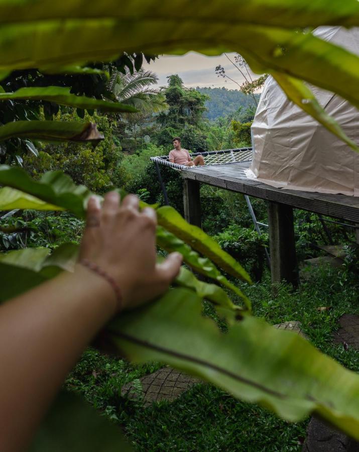 Bali Jungle Camping By Amerta Experience ตาบานัน ภายนอก รูปภาพ