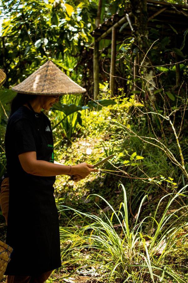 Bali Jungle Camping By Amerta Experience ตาบานัน ภายนอก รูปภาพ