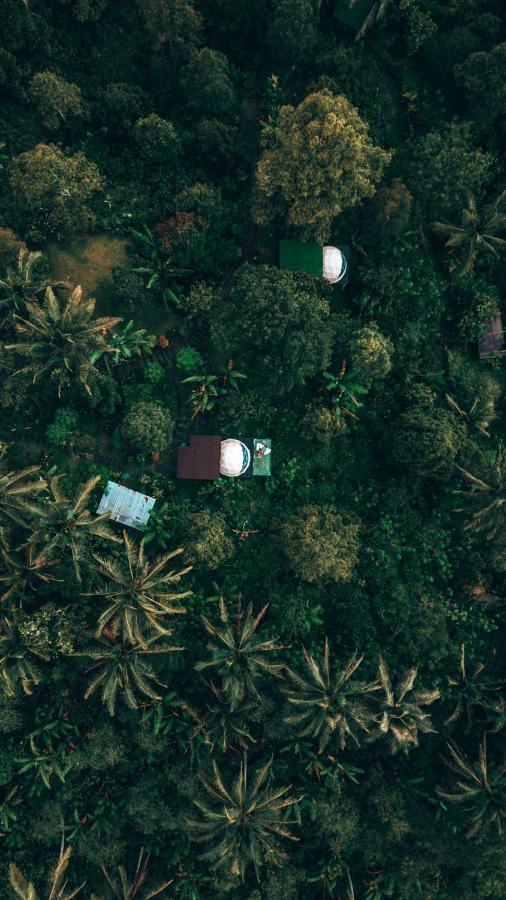 Bali Jungle Camping By Amerta Experience ตาบานัน ภายนอก รูปภาพ