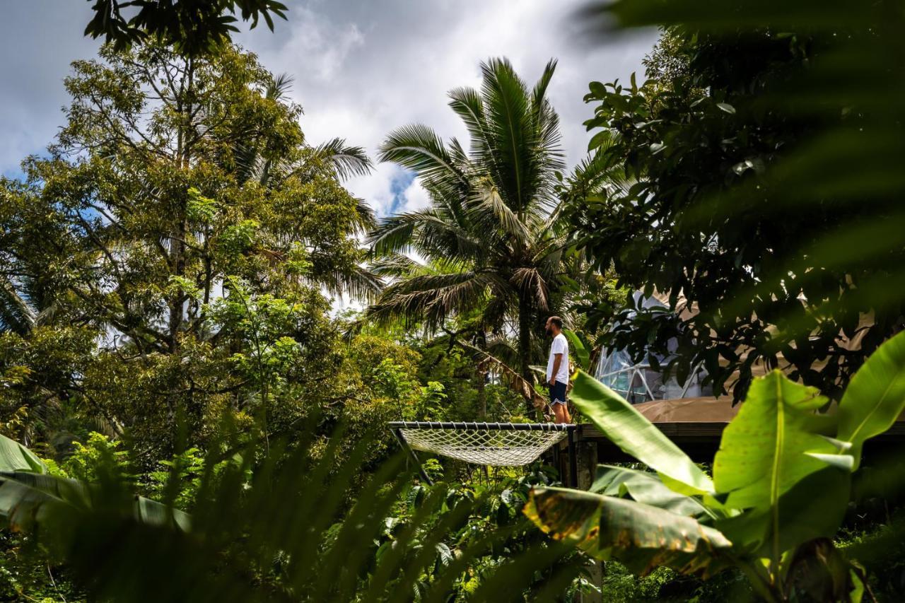 Bali Jungle Camping By Amerta Experience ตาบานัน ภายนอก รูปภาพ
