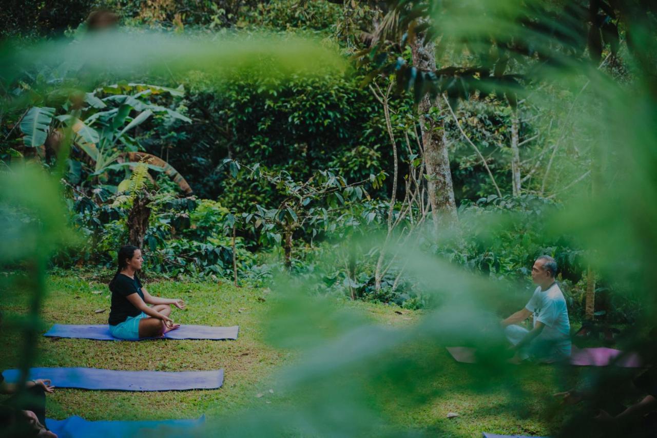 Bali Jungle Camping By Amerta Experience ตาบานัน ภายนอก รูปภาพ