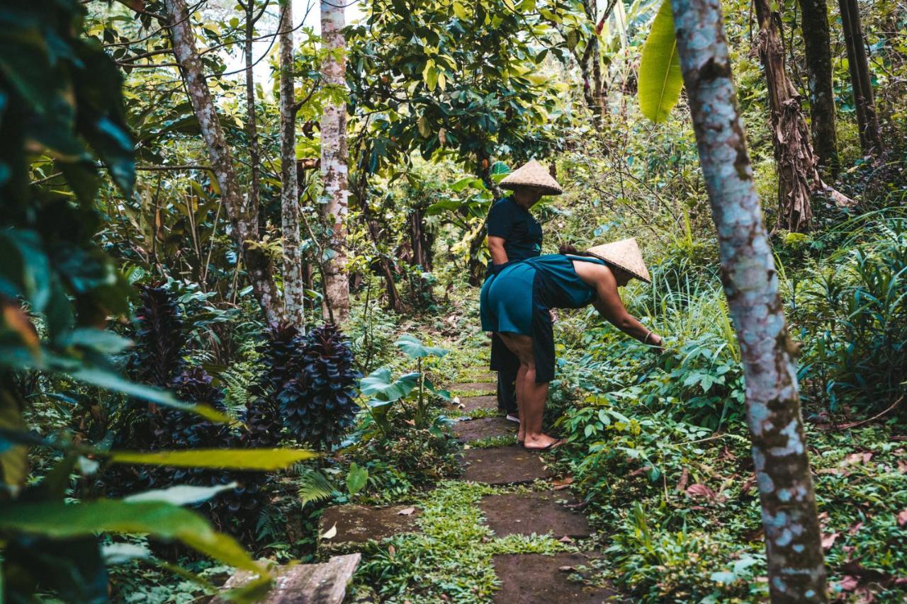 Bali Jungle Camping By Amerta Experience ตาบานัน ภายนอก รูปภาพ