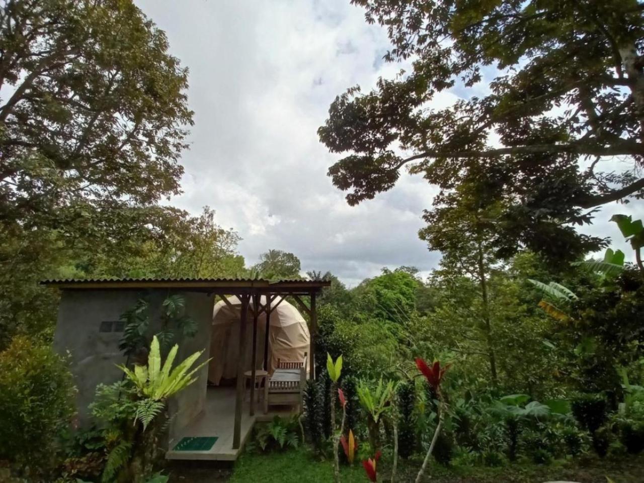 Bali Jungle Camping By Amerta Experience ตาบานัน ภายนอก รูปภาพ