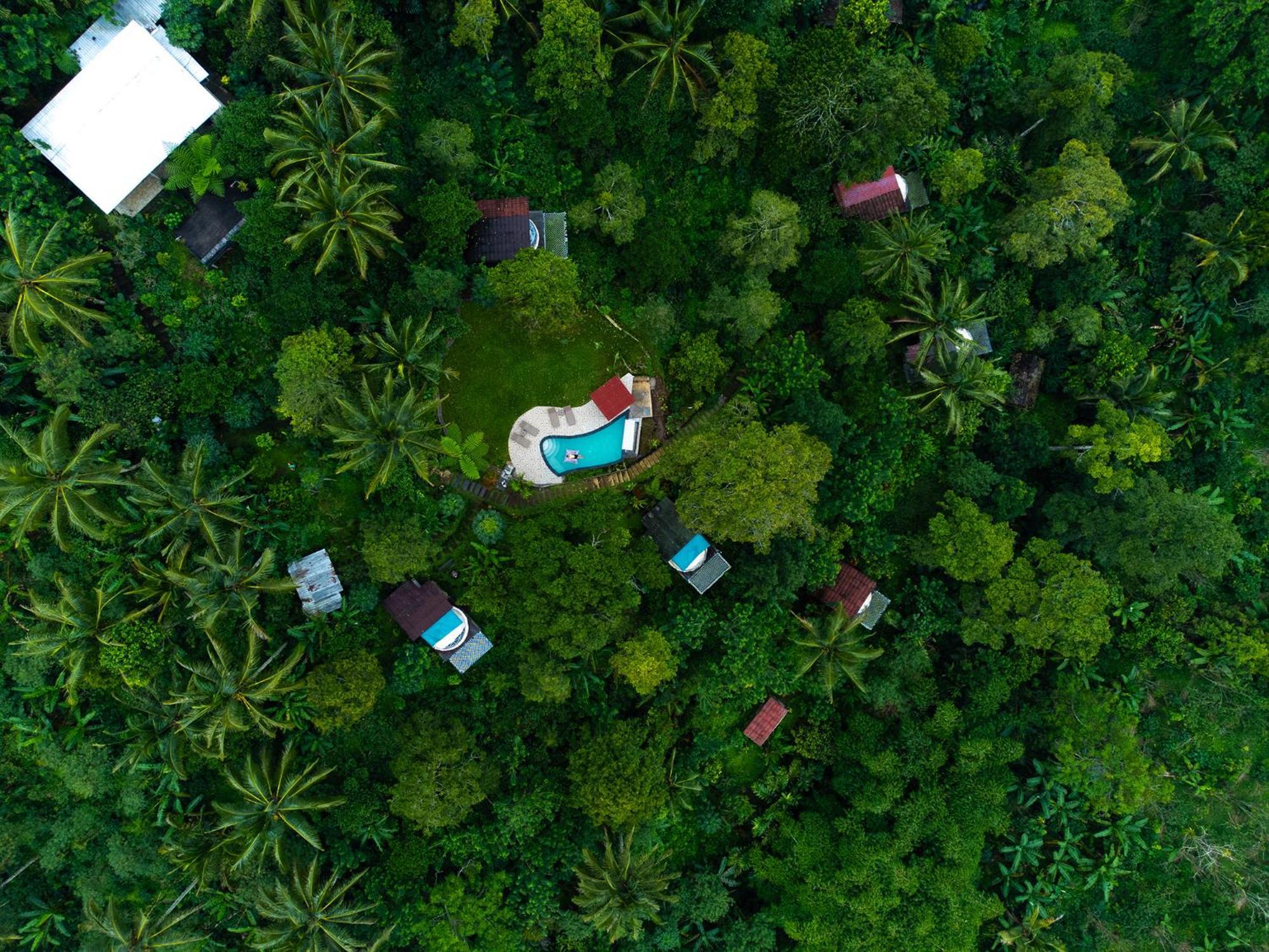 Bali Jungle Camping By Amerta Experience ตาบานัน ภายนอก รูปภาพ